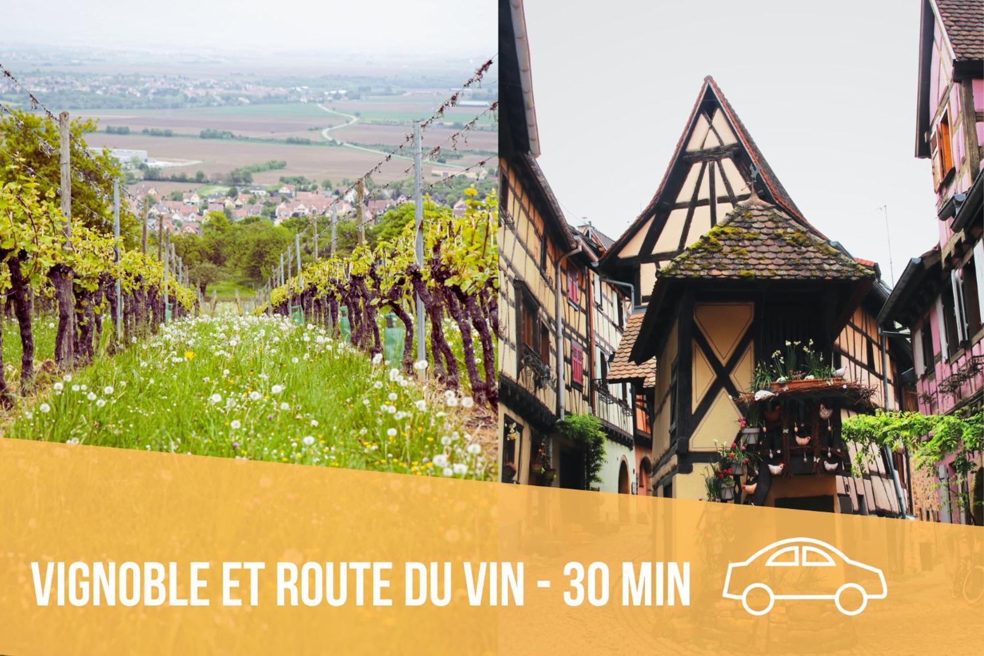 Les Pinots D'Alsace - 3 Bungalows Climatises Avec Tv - Proche Europa Park Boofzheim Номер фото